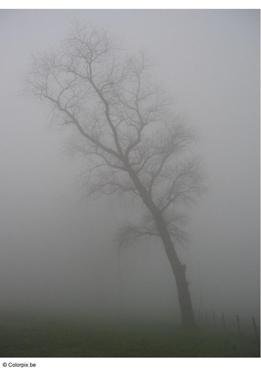 Photo brouillard