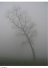 Photos brouillard