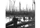 Photo champ de bataille 1Ã¨re guerre mondiale