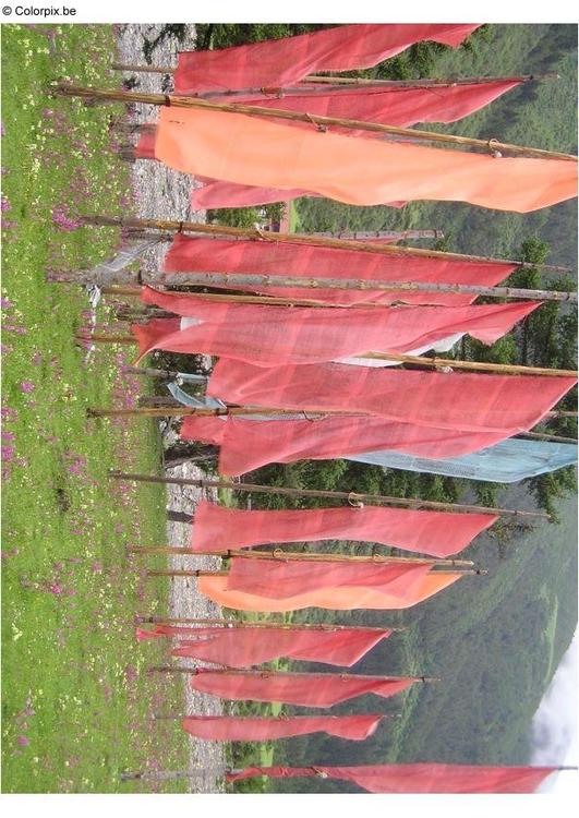 champ de drapeaux