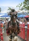 chevalier pendant un tournoi