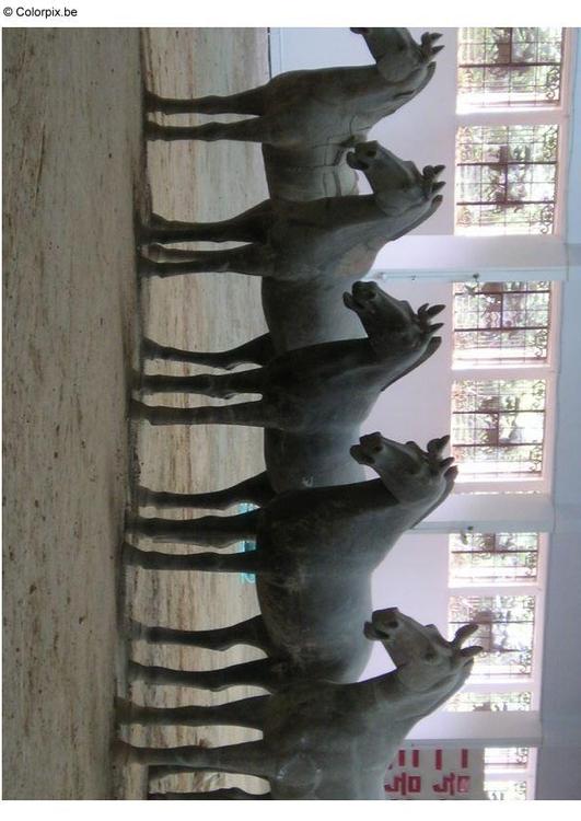 chevaux de Xian
