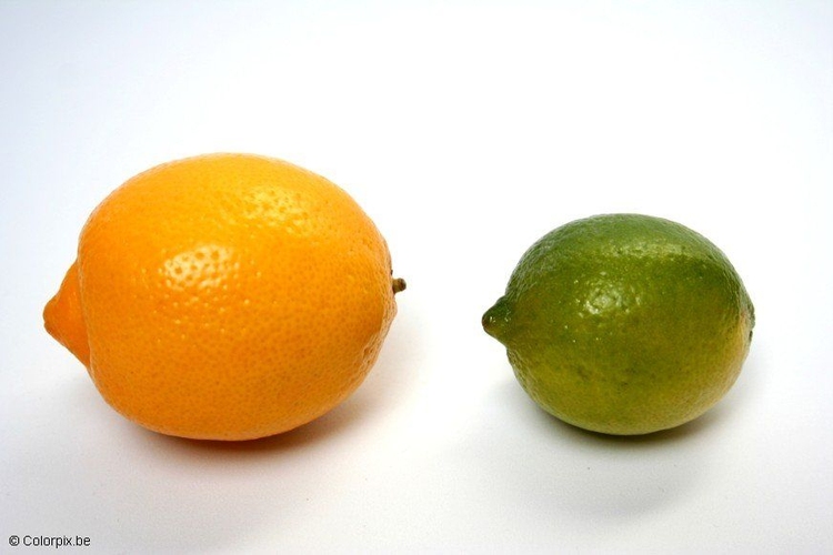 Photo citron et citron vert