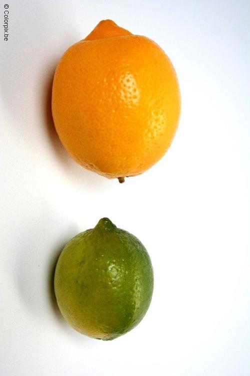 citron et citron vert
