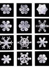 Photos cristaux de neige