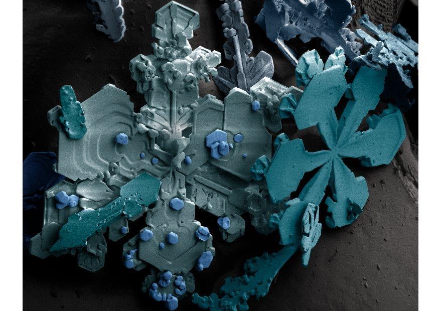 Photo cristaux de neige sous le microscope