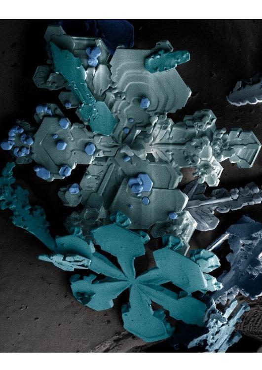 cristaux de neige sous un microscope