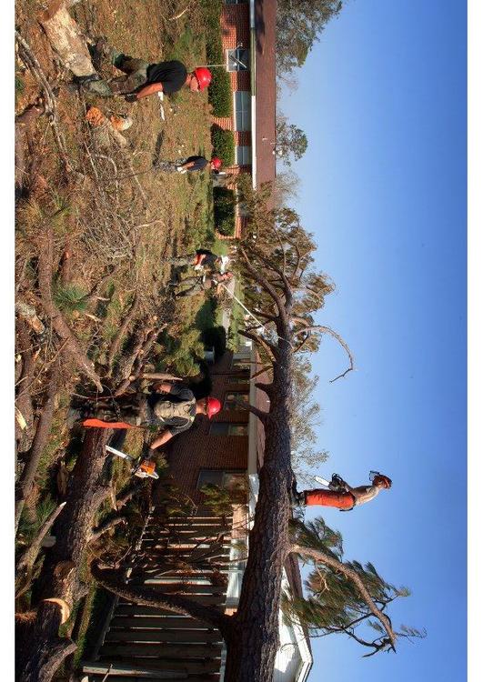 dÃ©gÃ¢ts aprÃ¨s un ouragan