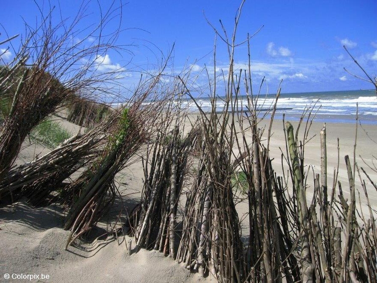 Photo dunes