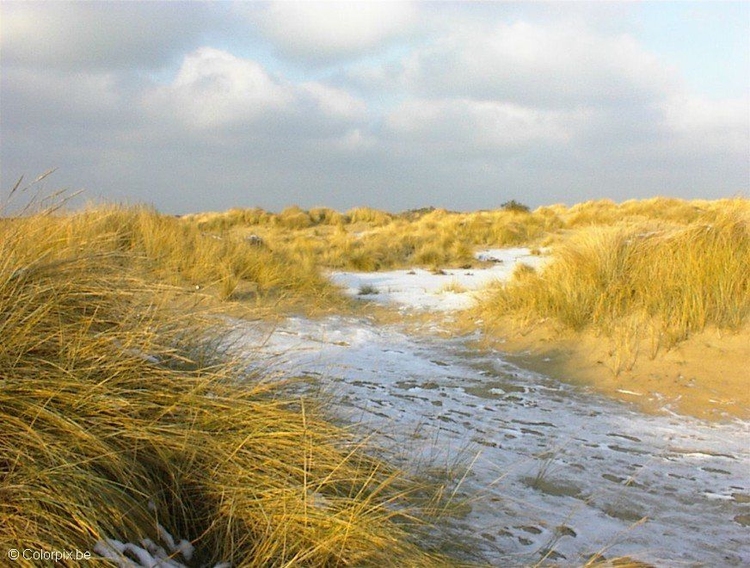 Photo dunes