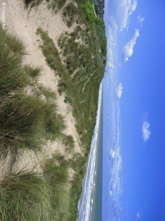 dunes