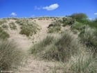 dunes