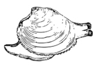 Coloriage escargot