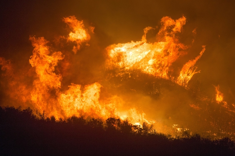 Photo feu de forÃªt