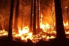 Photos feu de forêt