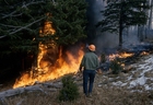 Photo feu de forÃªt