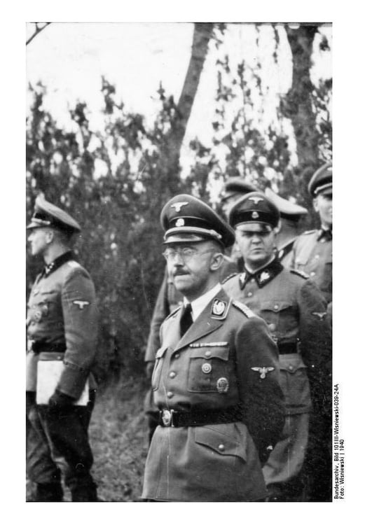 Photo France, Himmler avec les officiers du waffen-ss