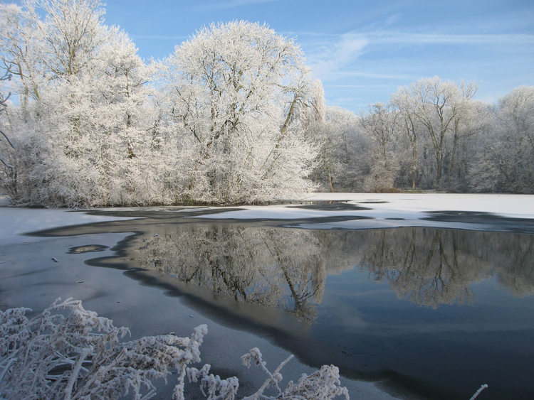 Photo hiver