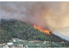 Photo incendie de forÃªt