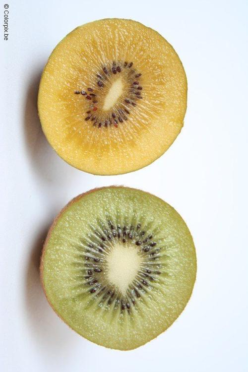 kiwi jaune et kiwi vert