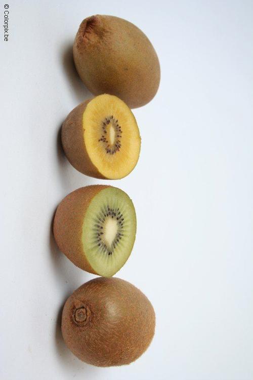 kiwi jaune et kiwi vert