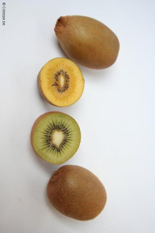 kiwi jaune et kiwi vert