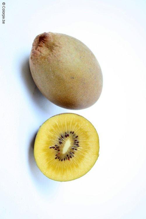 kiwi jaune