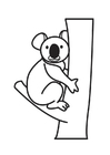 Coloriage Koala