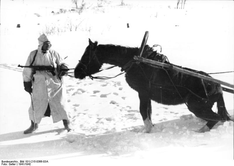Photo La Russie - soldat avec cheval en hiver
