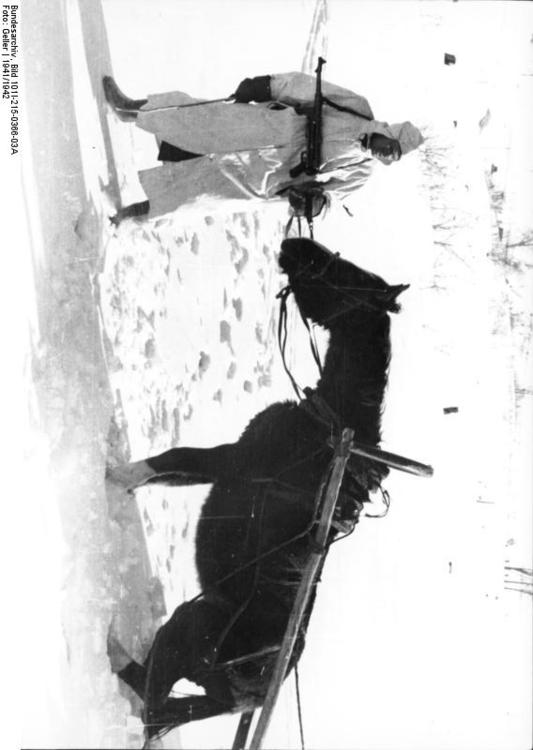 La Russie - soldat avec cheval en hiver