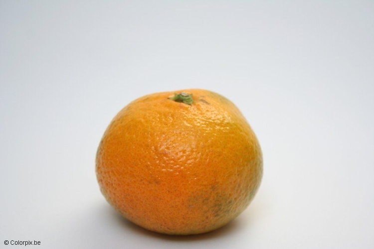 Photo mandarine
