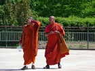 Photos moines