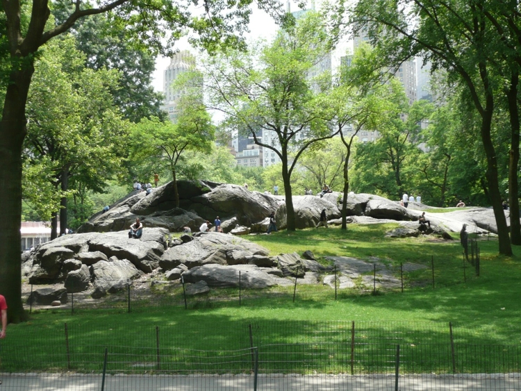 Photo New York - central park 