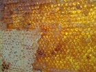 nid d&#39;abeille