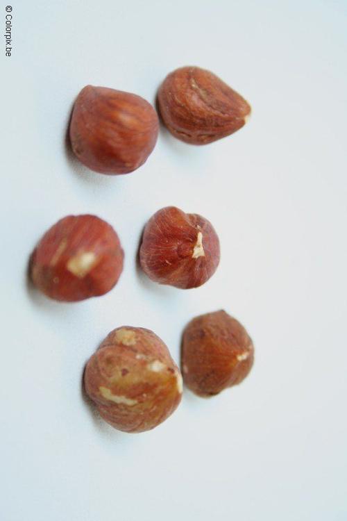 noisettes