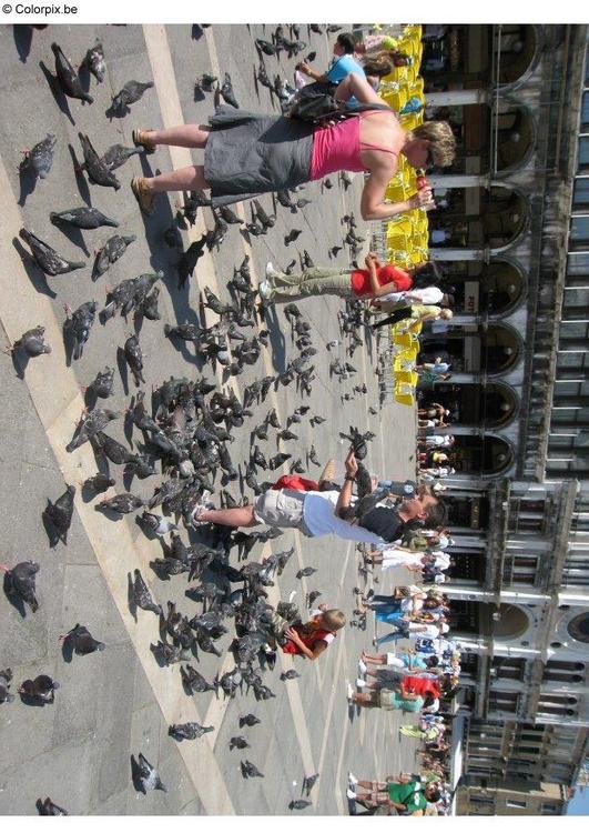 nourir les pigeons sur la place San Marco, Venise