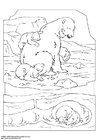 Coloriage ours polaire