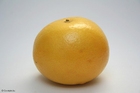 Photo pamplemousse