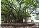 Parc Ghandi Musée de Puna