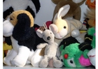 Photo peluches