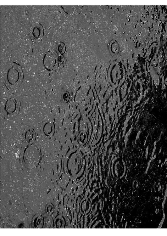 pluie