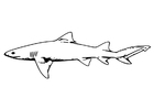 Coloriage poisson - requin