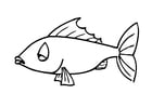 Coloriage poisson