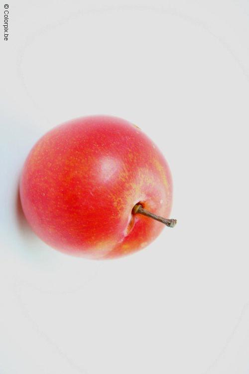 prune rouge