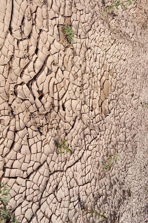 rÃ©chauffement climatique