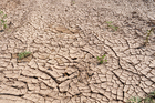 réchauffement climatique