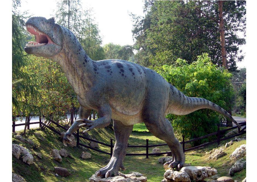 Photo sallosaurus