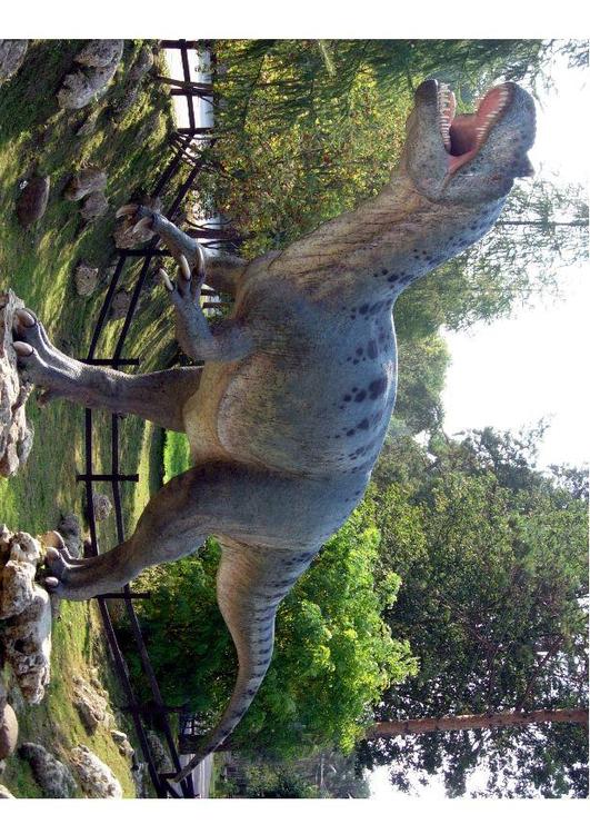 sallosaurus