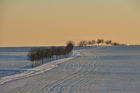 scène hivernale