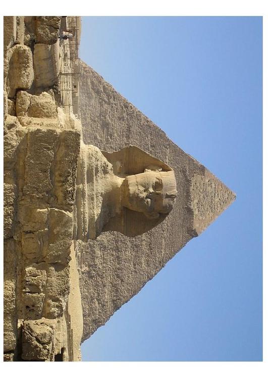 Sphinx et pyramide de Gizeh